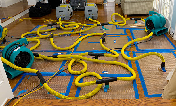 Professional Storm Water Damage Restoration technician working in Mount Airy, MD